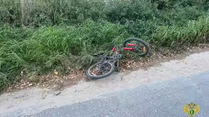 Суд вынес приговор водителю мусоровоза, который насмерть сбил ребенка на Бору