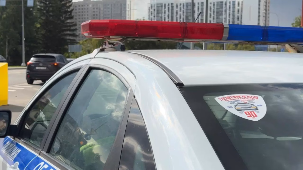 В Бессоновском районе насмерть сбили лося