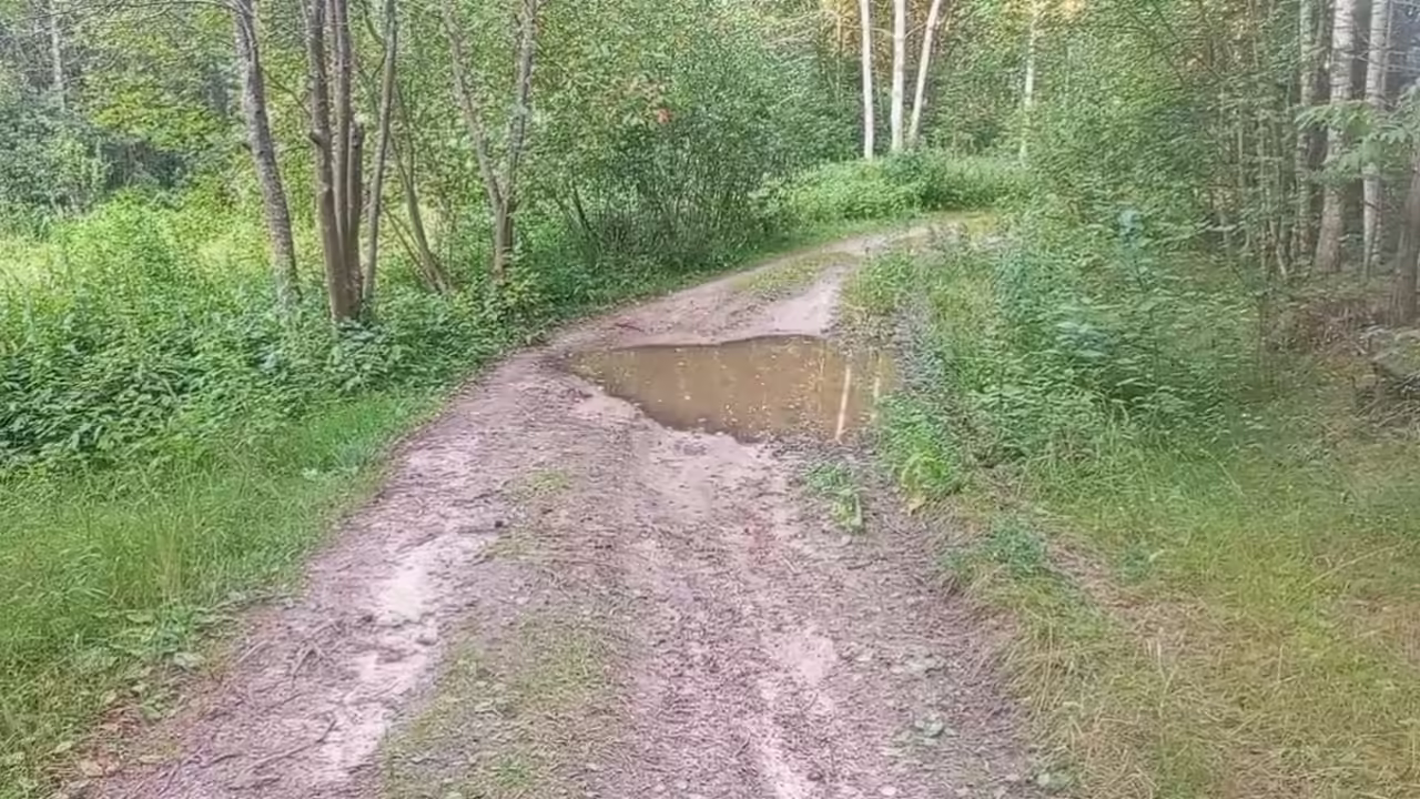 Квадроцикл попал в ДТП в Нижегородской области: пострадала девочка