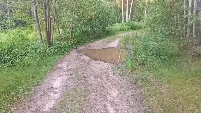 Квадроцикл попал в ДТП в Нижегородской области: пострадала девочка