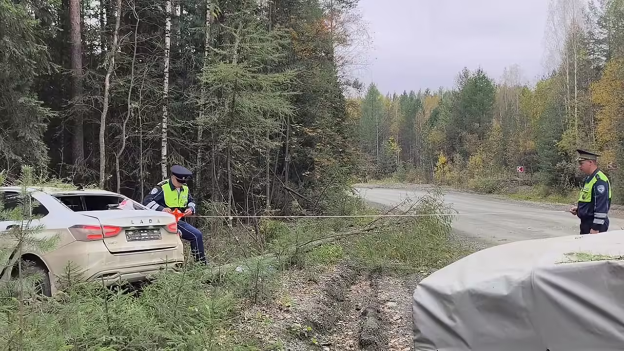 В Ивдельском районе женщине стало плохо за рулем, и она съехала с дороги