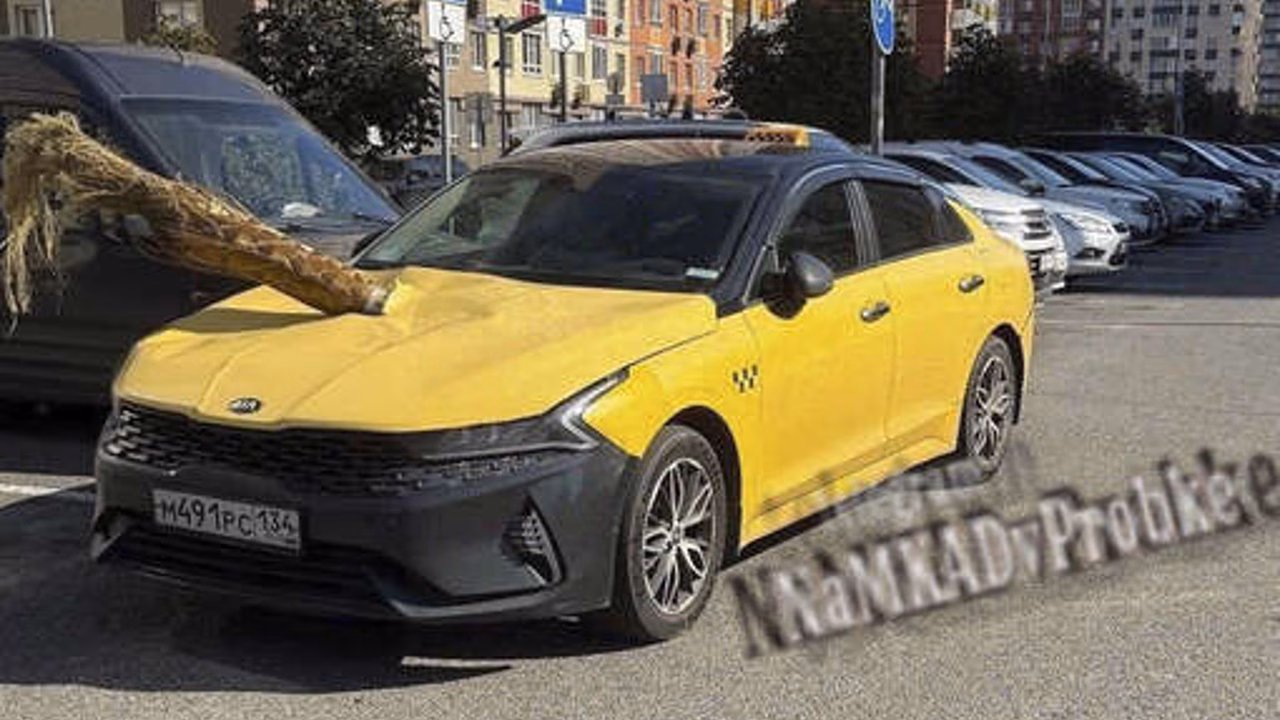 В Москве предмет, напоминающий пальму, пробил капот такси на парковке