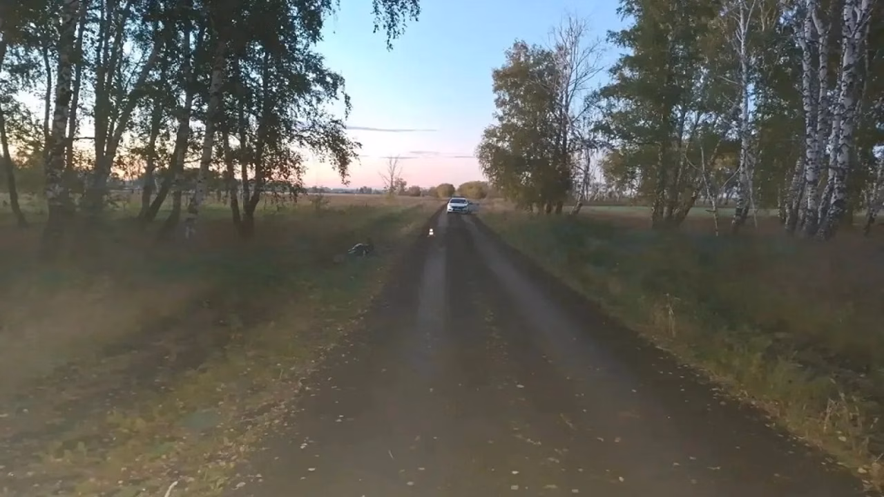 В Омской области юный байкер-бесправник столкнулся с бараном
