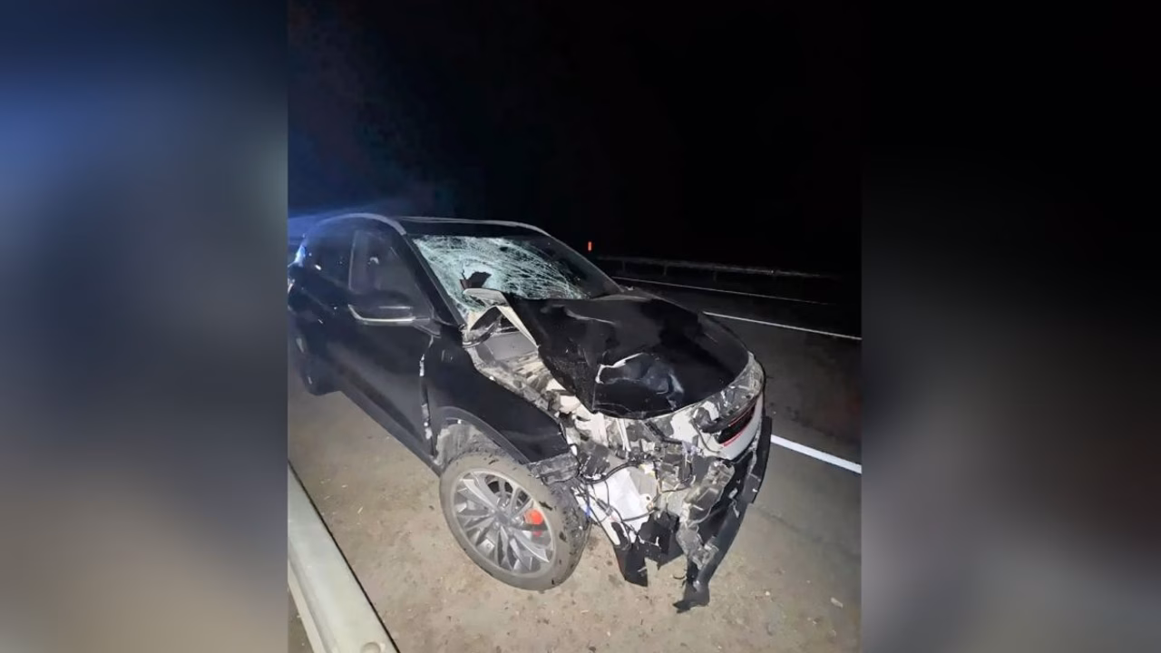 На автодороге в Борисоглебском районе водитель насмерть сбил пешехода