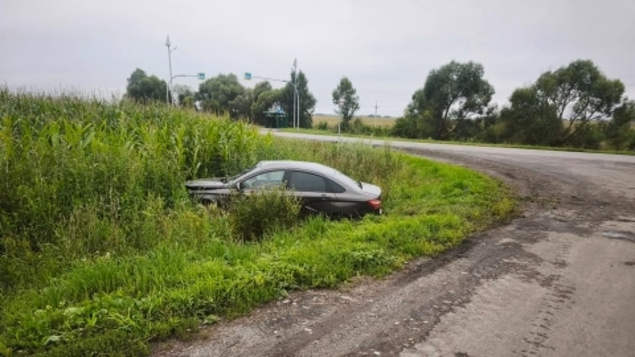 В Рязанской области в аварии пострадали двое несовершеннолетних