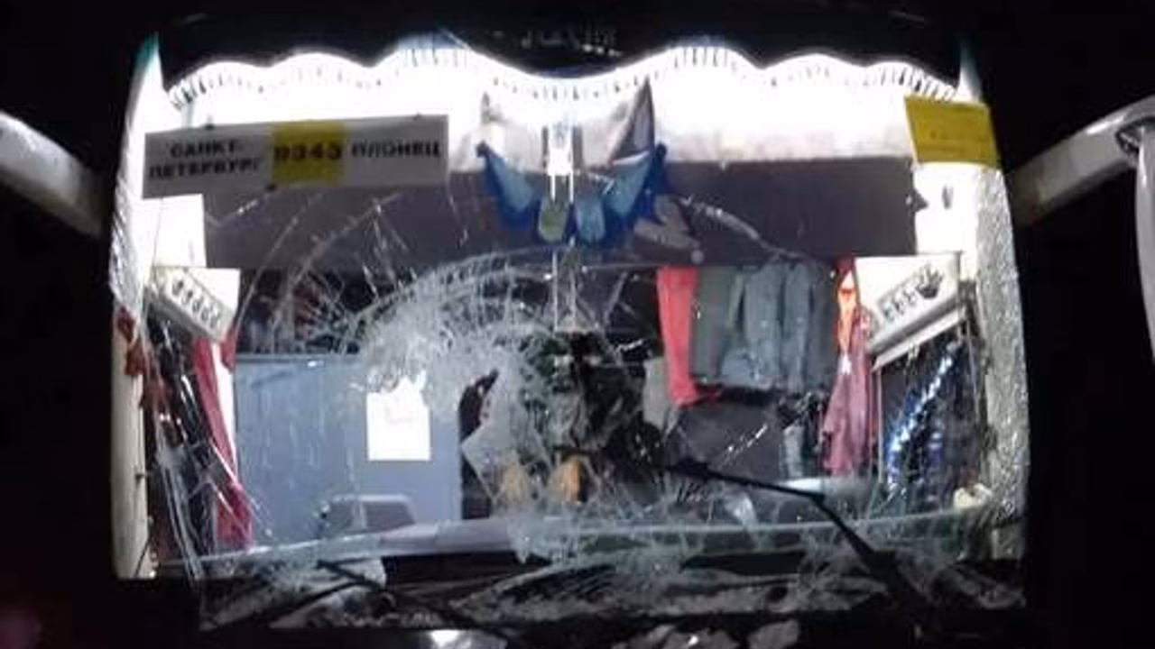 Пассажирский автобус сбил лося в Ленинградской области