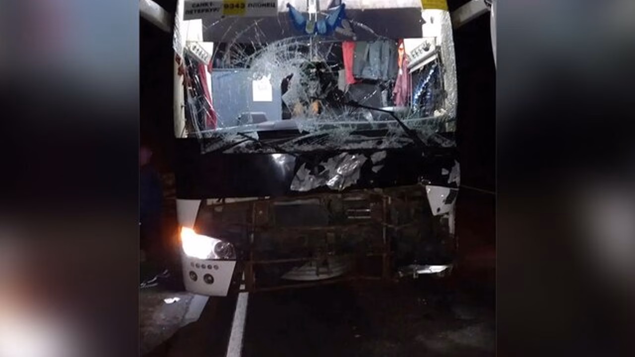 Рейсовый автобус сбил лося на трассе в Ленинградской области