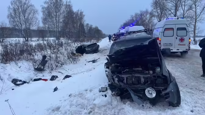 В Калужской области осудят виновника ДТП с погибшими детьми