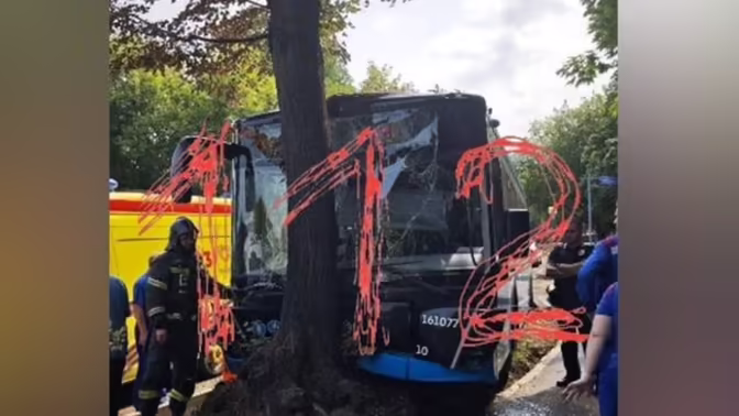 Пять пассажиров автобуса госпитализированы после наезда на дерево на юге Москвы
