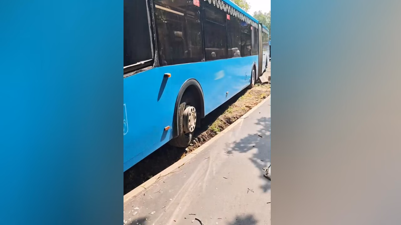 Пассажиры автобуса, врезавшегося в дерево в Москве, рассказали об инциденте