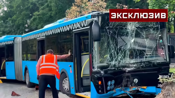 Серьезно пострадавших в московской аварии с деревом и автобусом нет