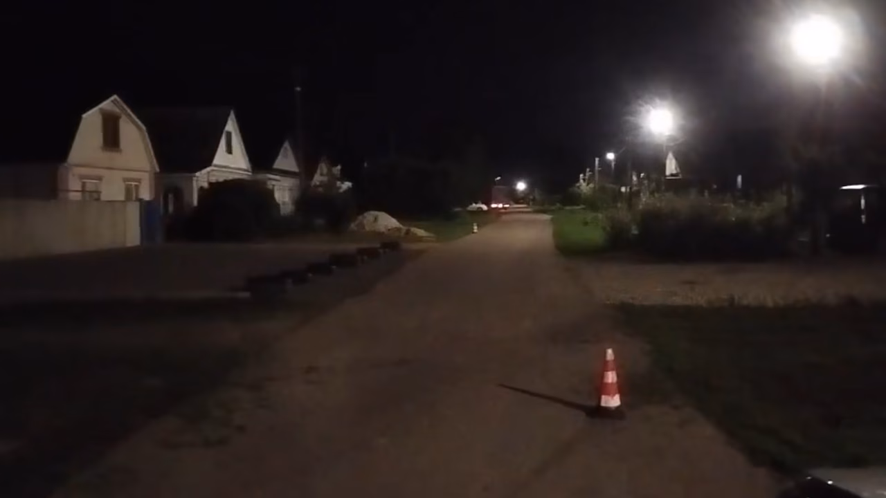 Женщина пострадала в ДТП с собакой в Лукояновском районе