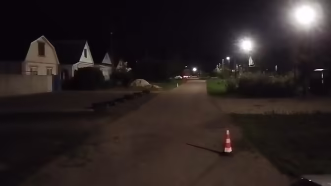 Женщина пострадала в ДТП с собакой в Лукояновском районе