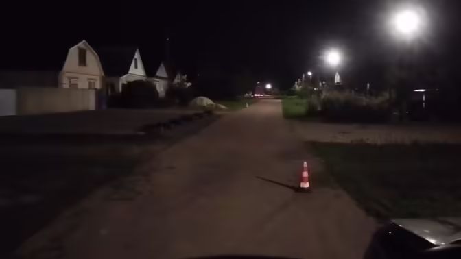 Женщина на скутере сбила собаку и попала в больницу в Нижегородской области
