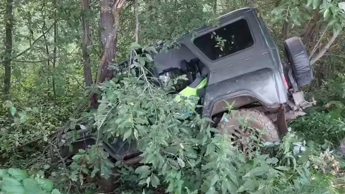 В Тужинском районе автомобиль вылетел с дороги и врезался в дерево