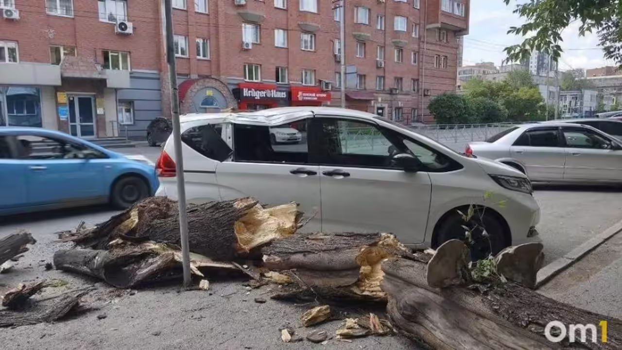 В центре Новосибирска дерево проломило крышу припаркованного авто