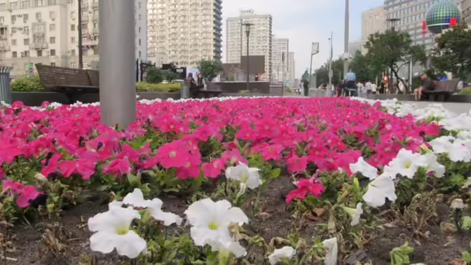 Курские теплоэнергетики после ремонта восстановили более 17 тыс.кв.м.дорог и газонов