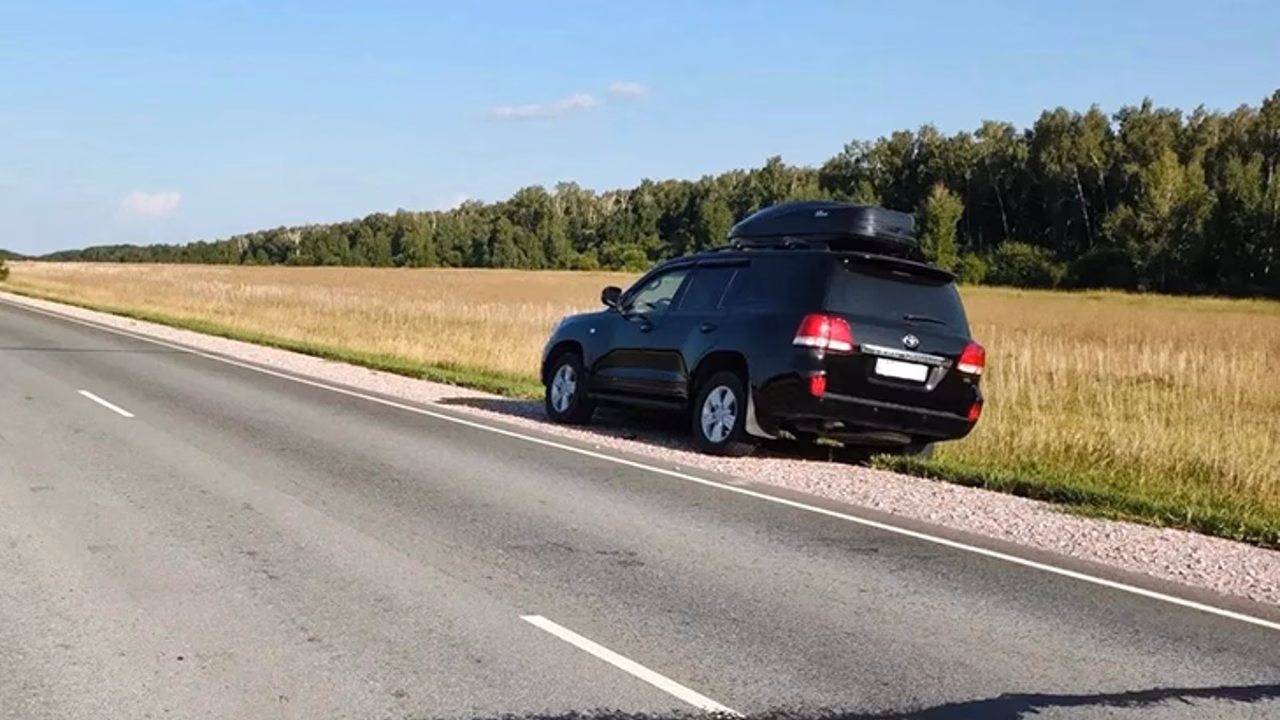 Мальчик-дошкольник погиб под колесами автомобиля на трассе под Новосибирском