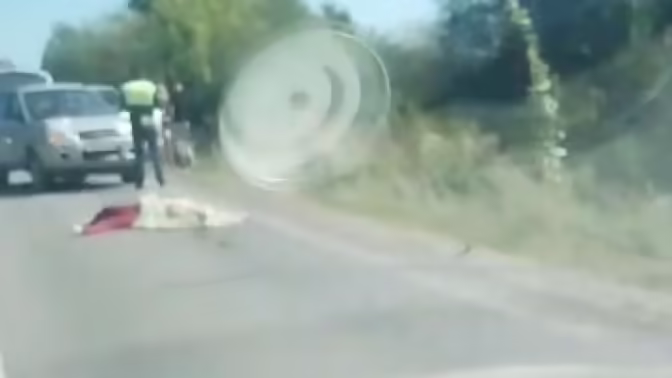 В Тульской области у Частинских Выселок сбили человека
