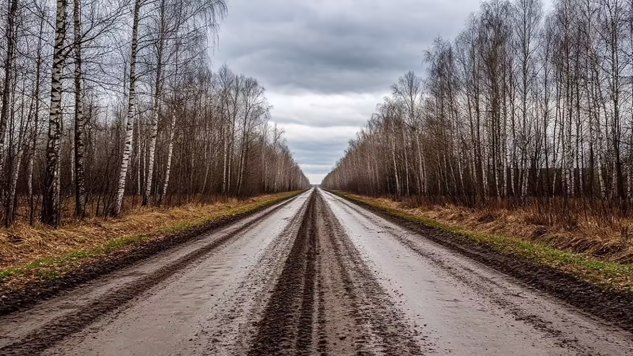 Тамбовская область снова худшей по качеству дорог в Черноземье