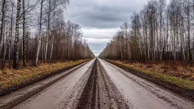 Тамбовская область снова худшей по качеству дорог в Черноземье