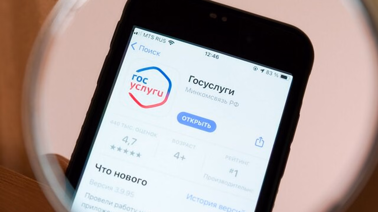 В ГД предложили предупреждать водителей об эвакуации через "Госуслуги"