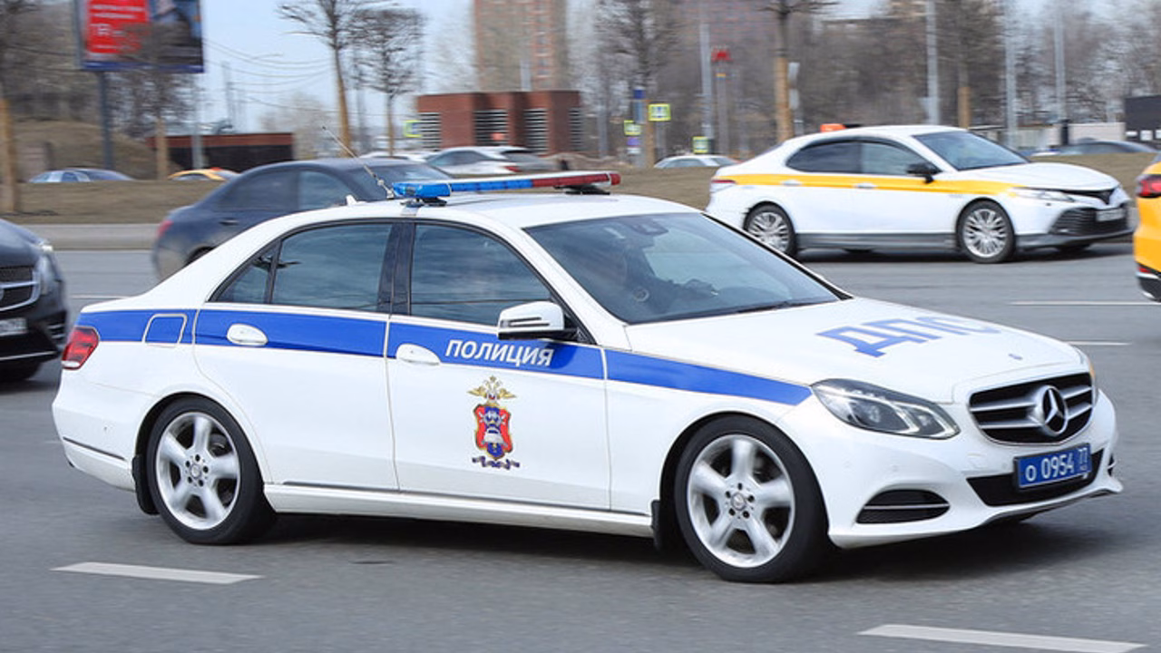 Подросток погиб после столкновения автомобиля с лосем под Вологдой