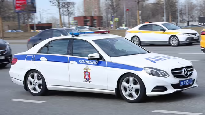 Подросток погиб после столкновения автомобиля с лосем под Вологдой