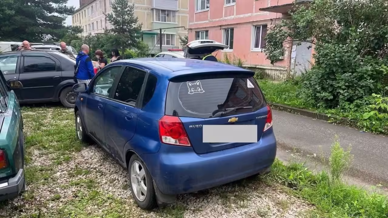В Рыбновском районе "Шевроле Авео" сбил 90-летнего пешехода