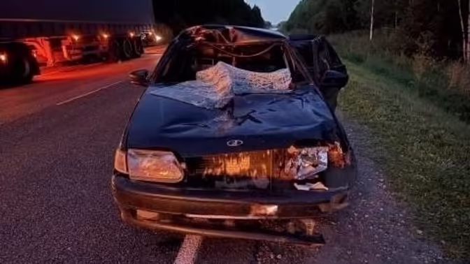 В Пижанском районе в ДТП с лосем пострадала пассажирка «пятнадцатой»