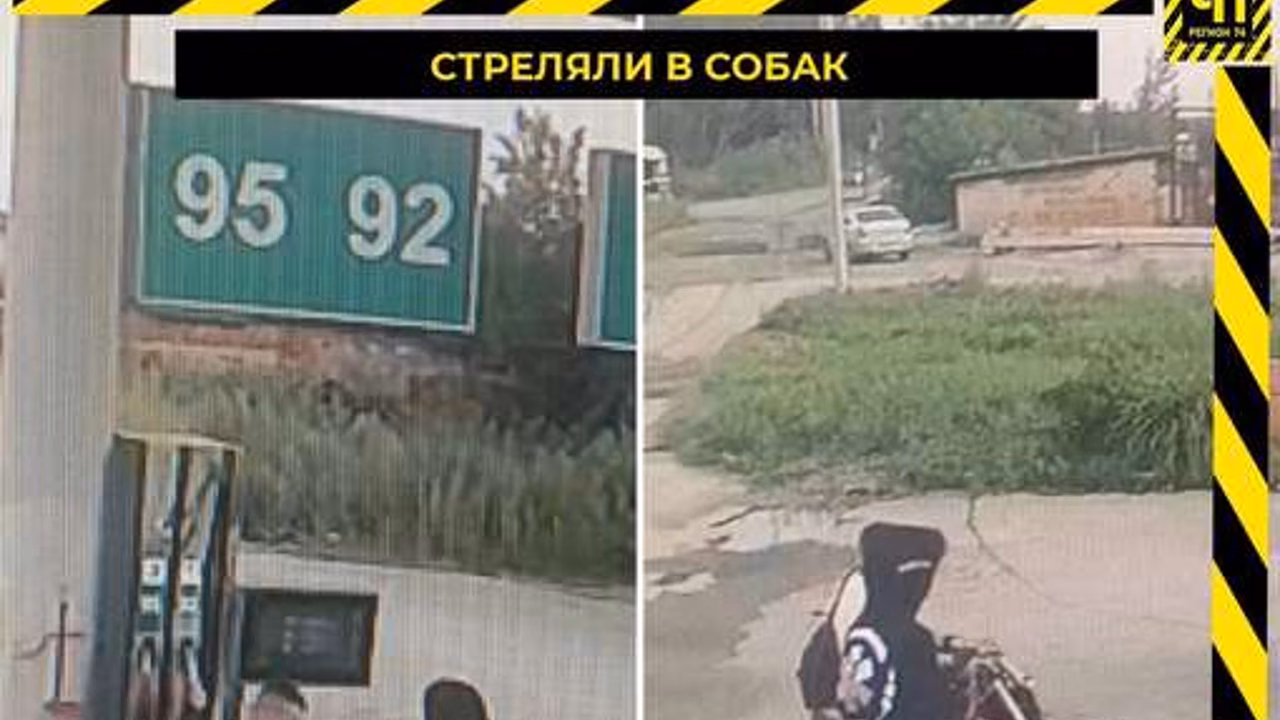 В Челябинской области подростки на питбайке открыли стрельбу по собакам на АЗС