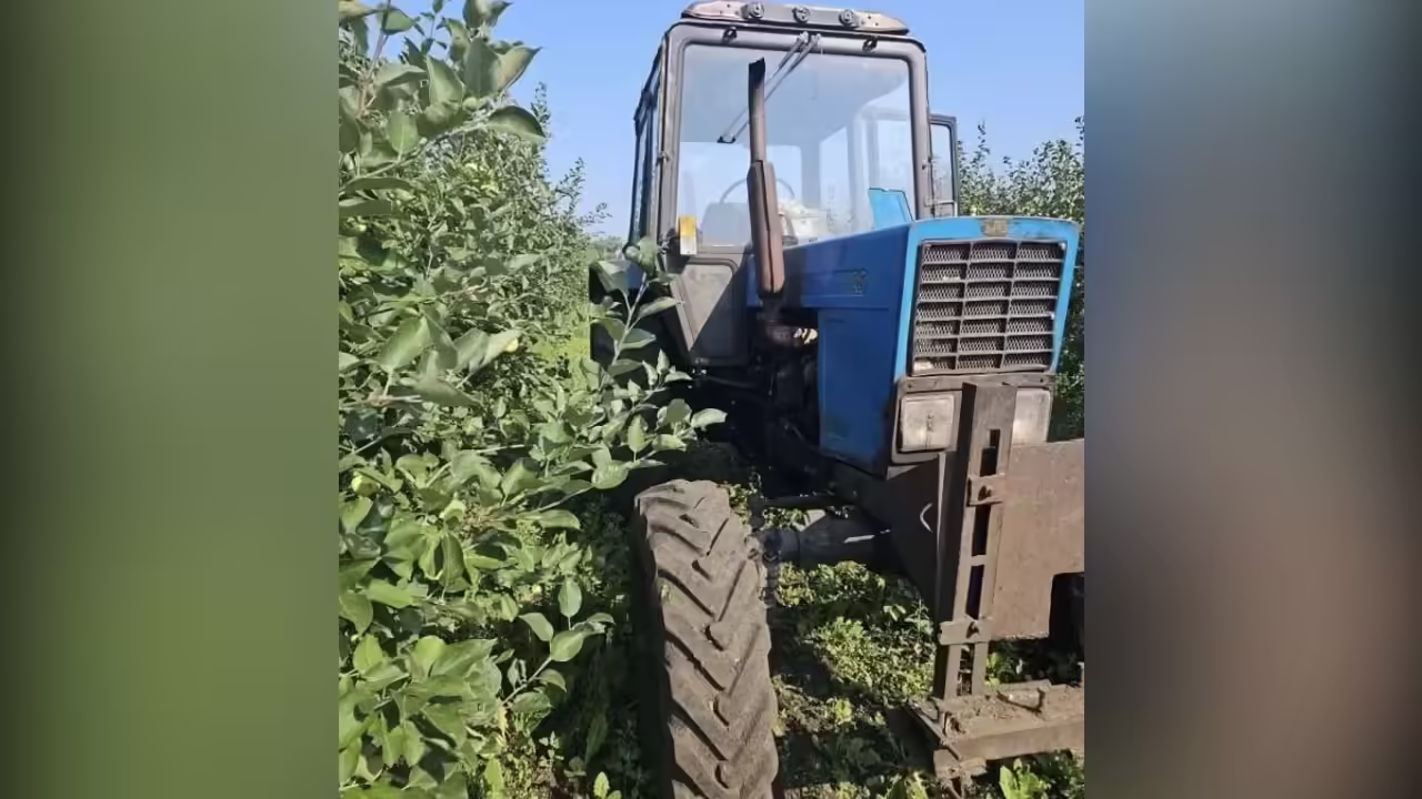 Пожилой мужчина погиб после наезда трактора в Новоусманском районе