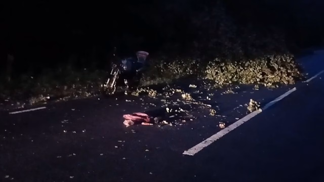 Мопед наехал на упавшее дерево в Нижегородской области: пострадал водитель
