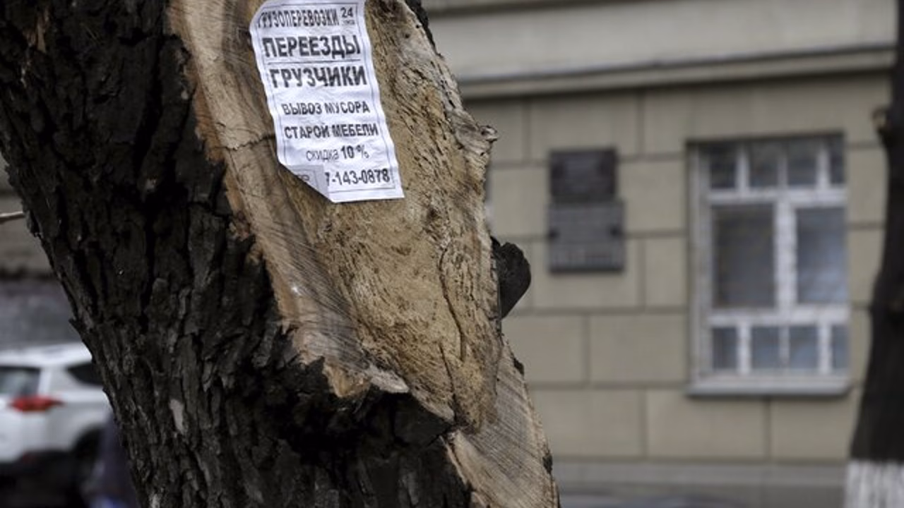 Юрист Багатурия: "черным грузчикам" может грозить до 5 лет тюрьмы