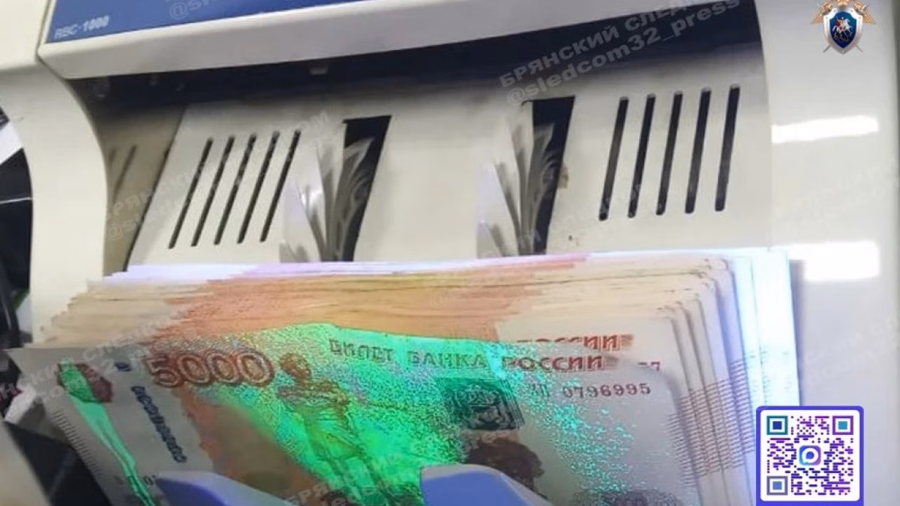 Брянский суд наказал женщину за попытку дать взятку полицейским