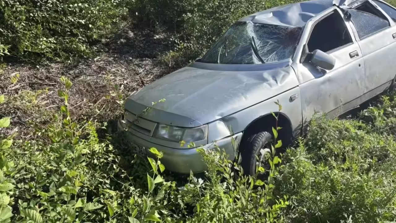 Воронежский автомобилист сбил косулю и улетел в кювет на трассе М-4