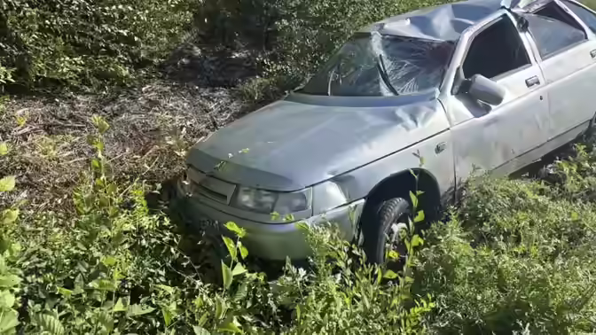 Воронежский автомобилист сбил косулю и улетел в кювет на трассе М-4