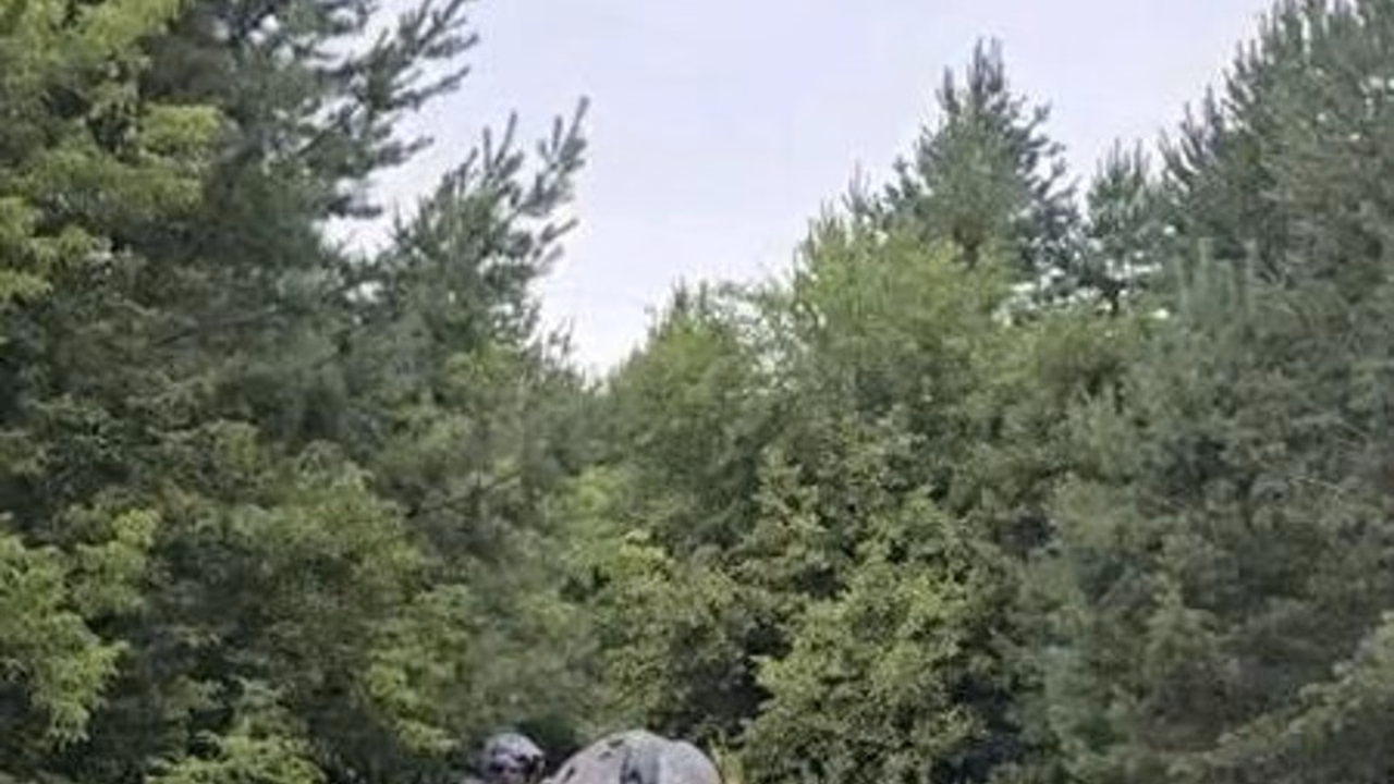 В Самарской области квадроциклисты устроили ралли в охраняемой зоне