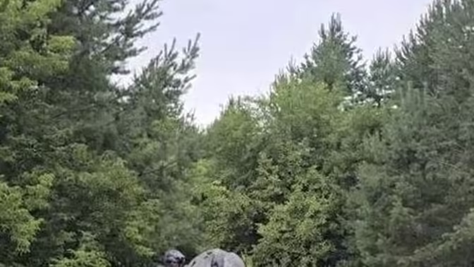 В Самарской области квадроциклисты устроили ралли в охраняемой зоне
