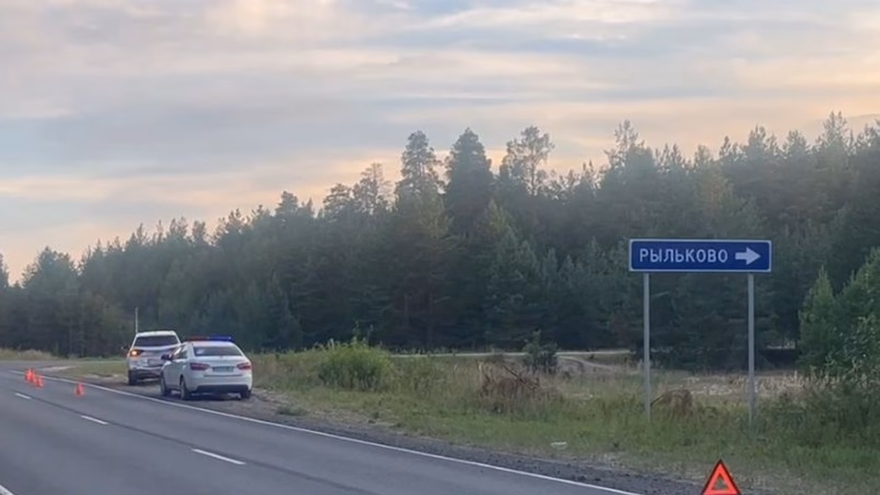 Двое детей пострадали в ДТП в Нижегородской области: виновник скрылся