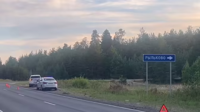 Двое детей пострадали в ДТП в Нижегородской области: виновник скрылся