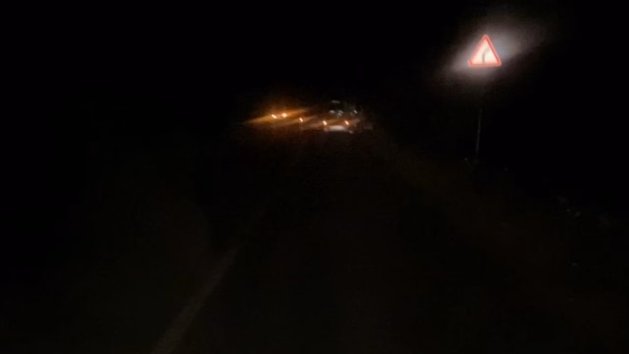 17-летнюю девушку увезли в больницу после ДТП с лосем в Нижегородской области