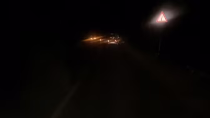 17-летнюю девушку увезли в больницу после ДТП с лосем в Нижегородской области