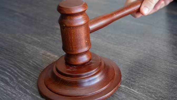 Рязанский суд отказал в иске к страховой компании из-за ДТП с лосем