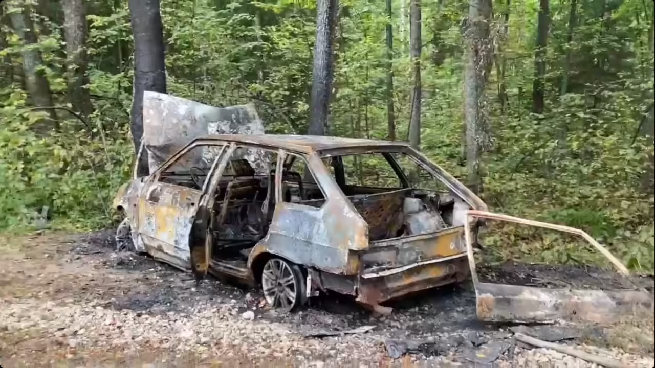 В Навашинском округе машина сгорела после наезда на дерево