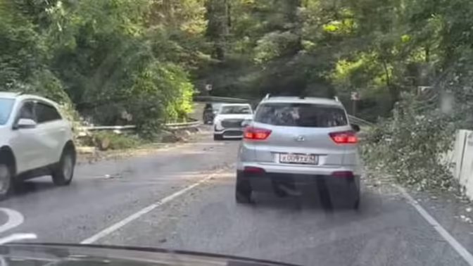 В Сочи на трассе на машину с пассажирами упало дерево