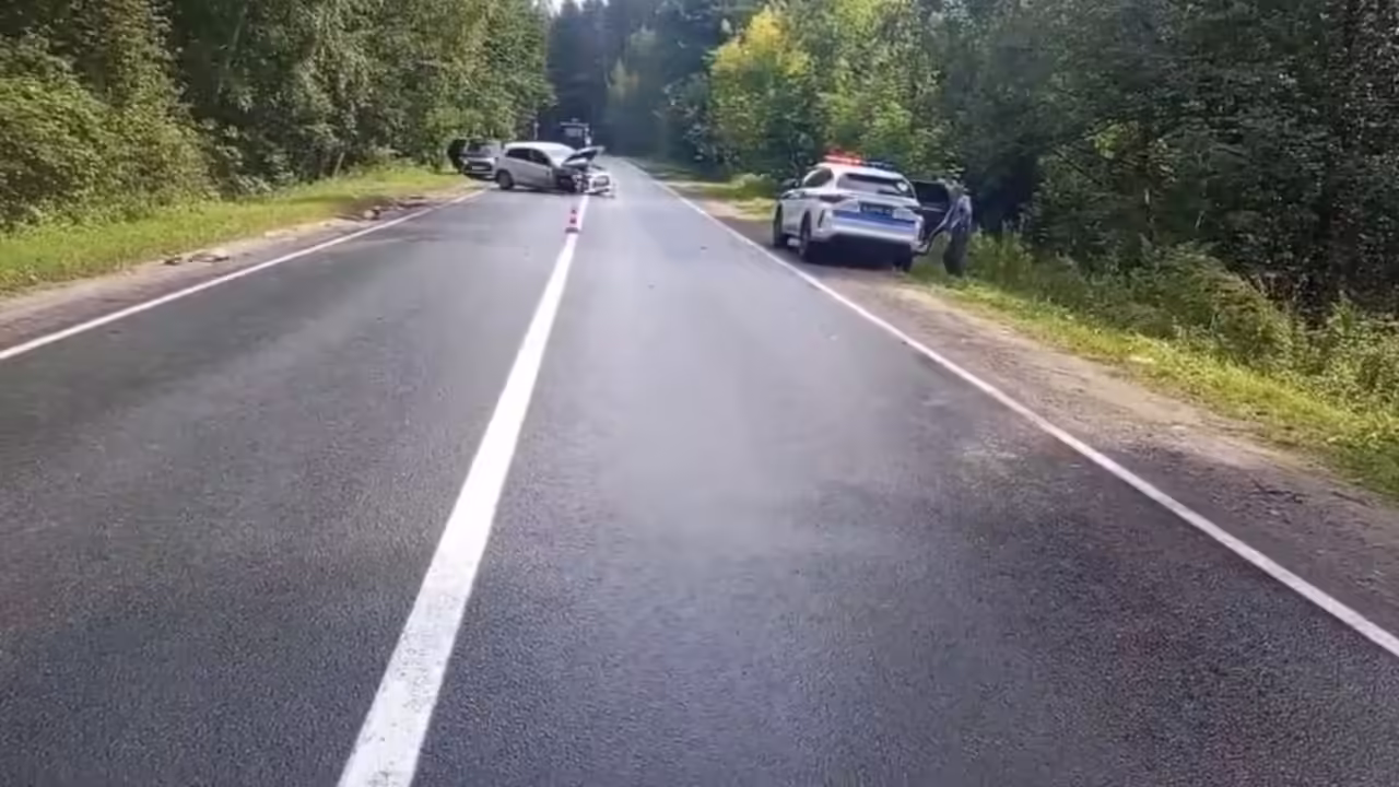 Водитель «Мицубиси» потерял сознание и влетел в «Ладу» в Городецком округе