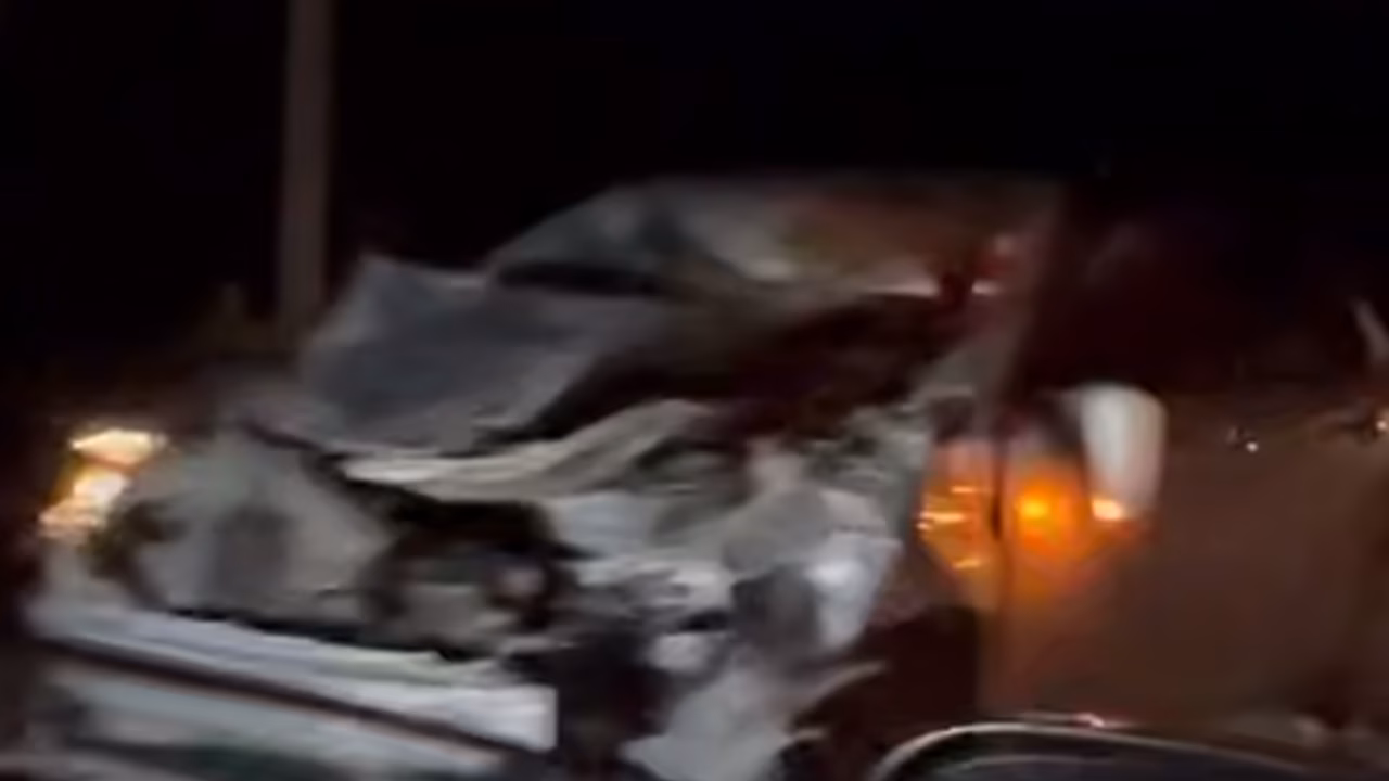 В Бурятии легковушка сбила выбежавшего на трассу коня