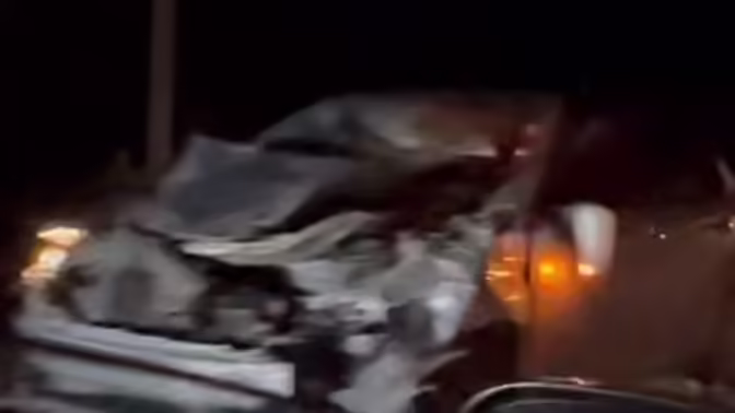 В Бурятии легковушка сбила выбежавшего на трассу коня