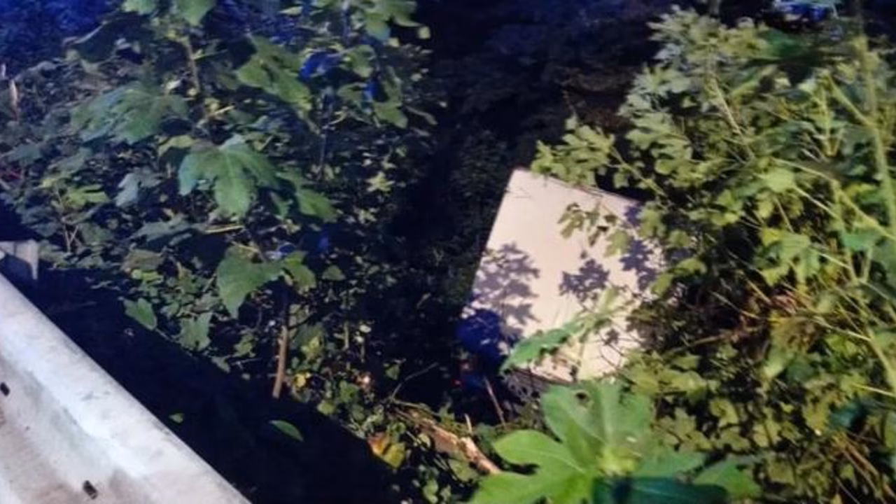 Спасатели в Сочи подняли из обрыва пострадавшего в ДТП водителя